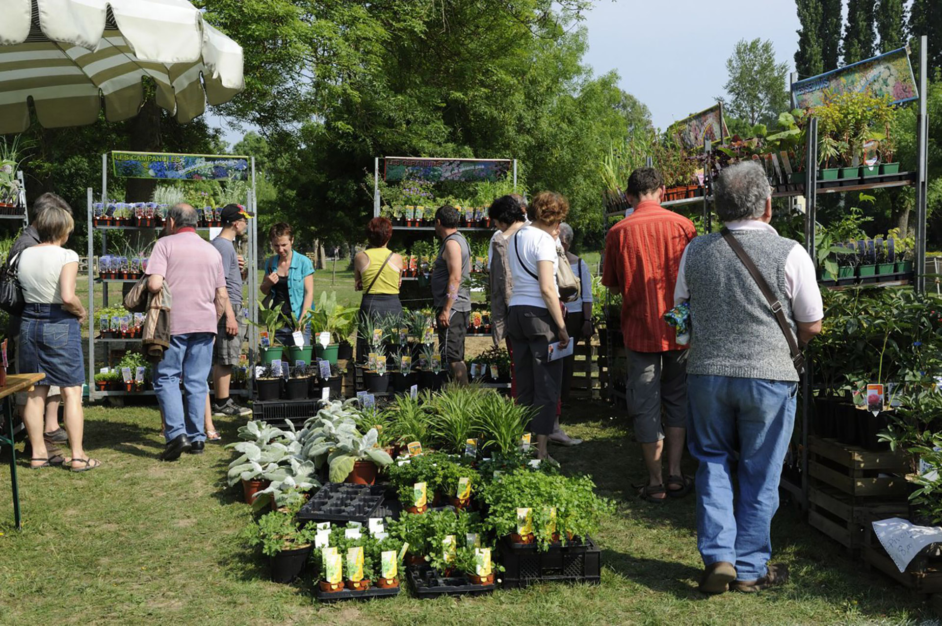 Jardiniers en herbe visitent Chloroph'îles