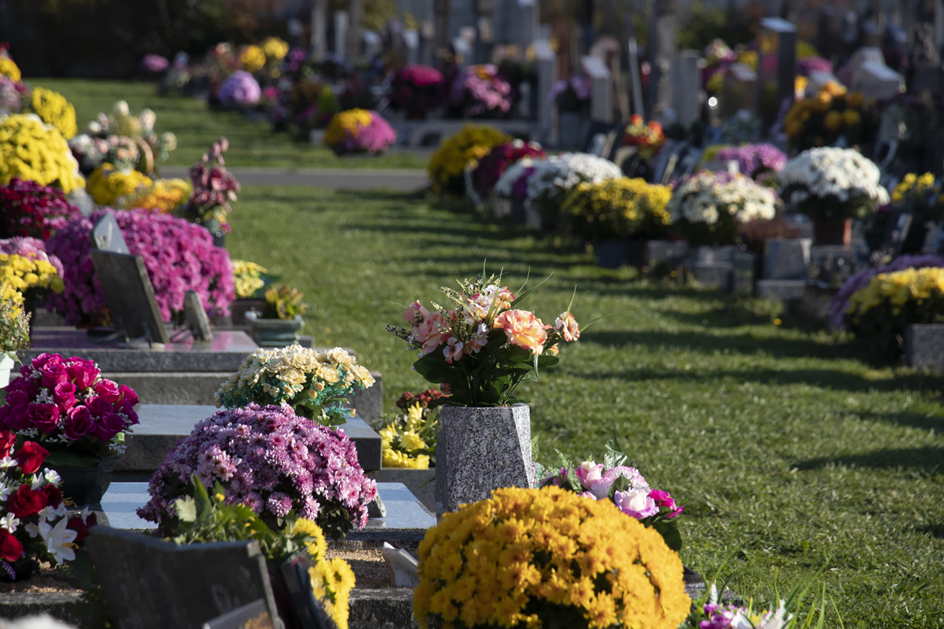 Cimetière de Vertou engazonné