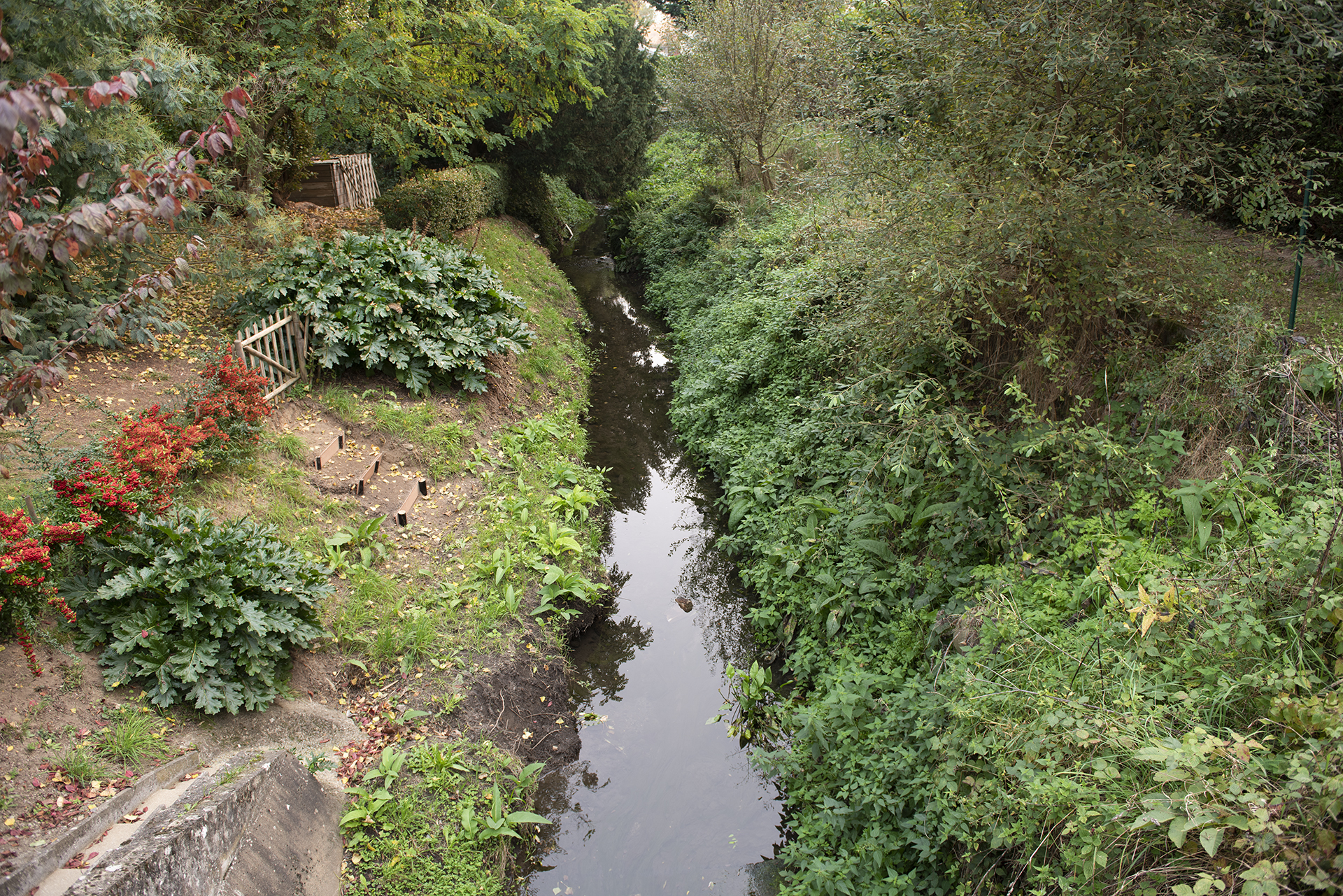 Ruisseau à ciel ouvert dans la ville