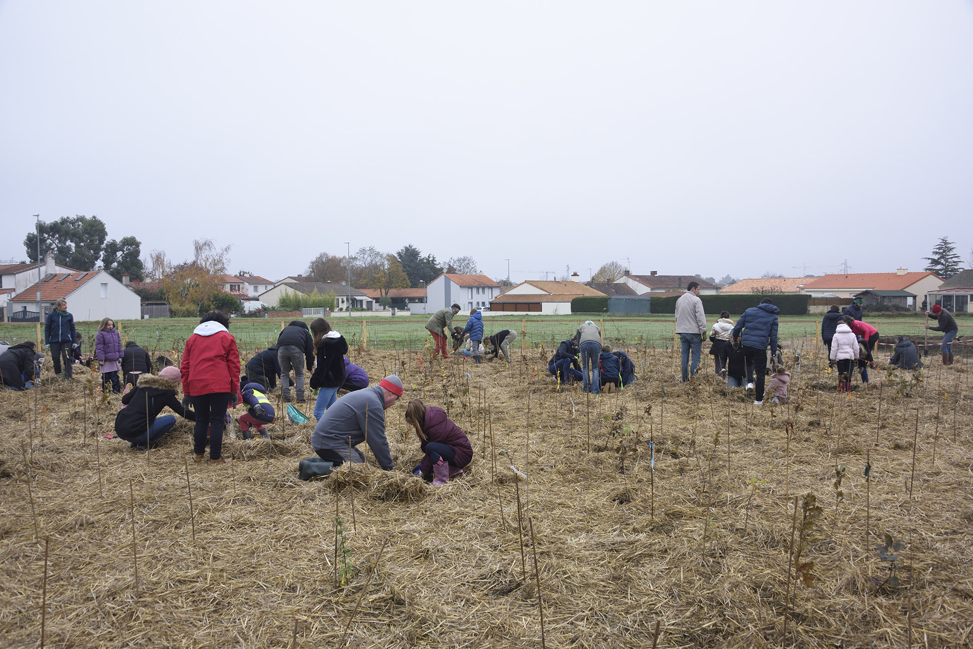 Plantation foret urbaine par les enfants du CME