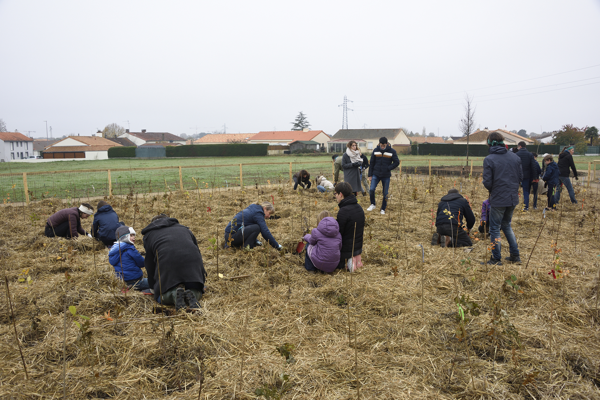 Plantation foret urbaine par les enfants du CMEJ